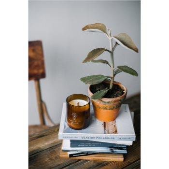 Smells Like Spells Norse Magic Freyr lumânare parfumată cu fitil din lemn (wealth/abundance) - imagine 3